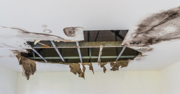 mold in a roof before a conservatory roof conversion 2