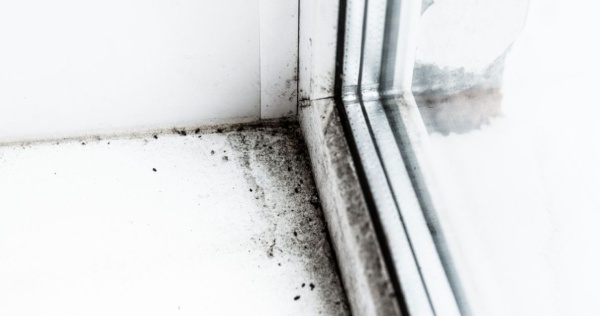A conservatory roof conversion can help avoid mould in your conservatory 2