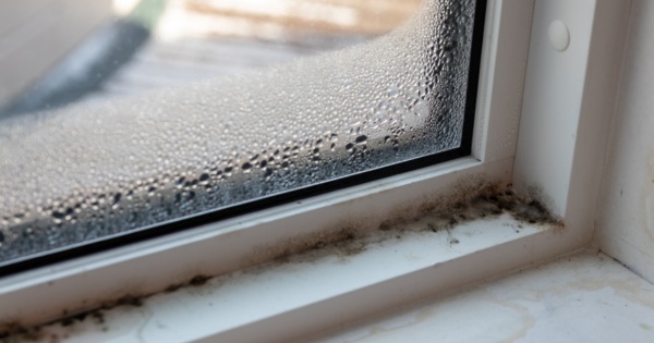 black mold and condensation on glass panel of a conservatory roof 2