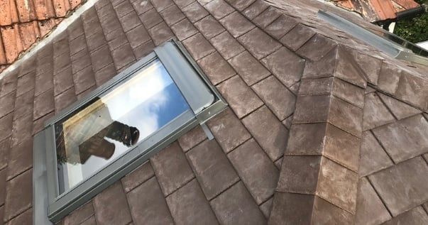 Add value to your conservatory by including windows in your conservatory roof. (1)