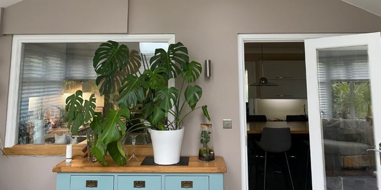 Green oasis - 7 ideas to make the most out of your insulated conservatory this summer