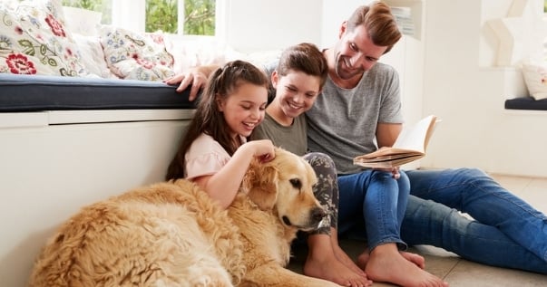 Happy family having fun with their pet after a conservatory conversion