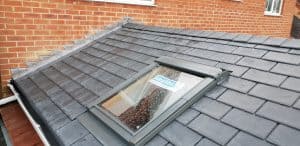 Guardian Warm Roof with Velux Skylight