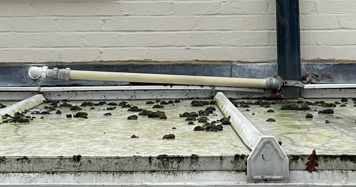 Decomposing conservatory roof from above