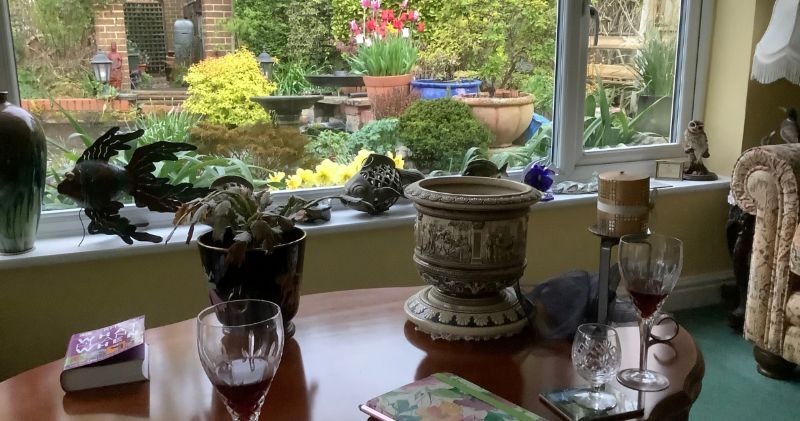 Garden view from your recently insulated conservatory